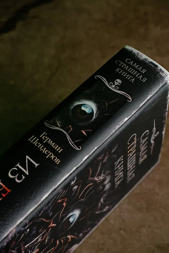 Книга Самая страшная книга. Из бездны (Герман Шендеров) — 9