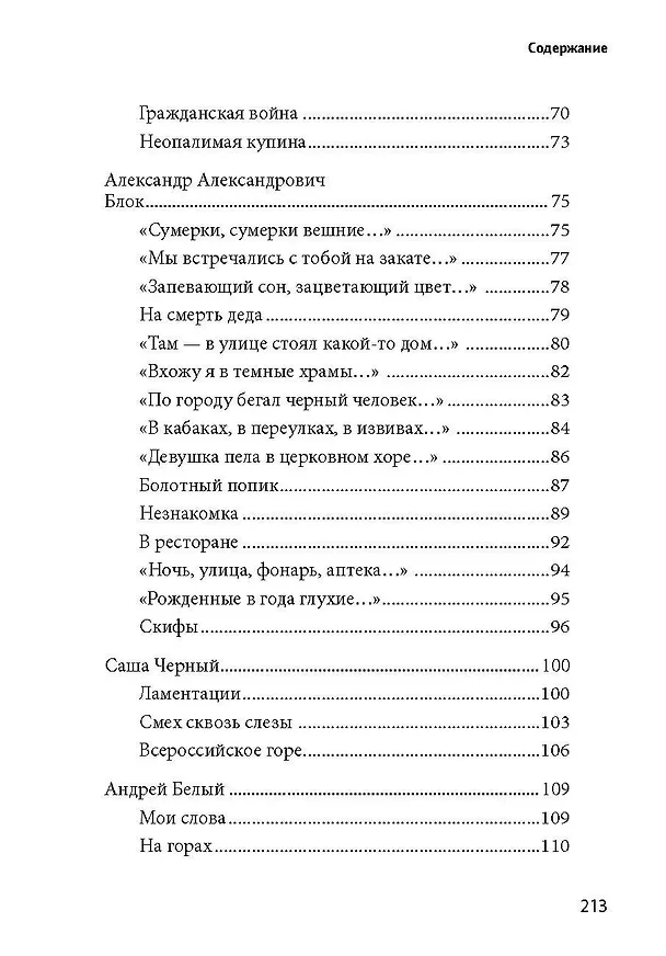 Книга 100 и 1 стихотворение Серебряного века, которое надо знать (Е. Рожникова) — 5
