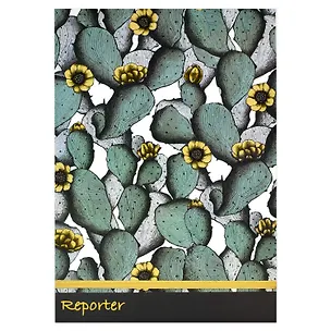 Книга для записей А5+ 100л тчк. "КАКТУСЫ" застёжка-резинка, обложка мел.картон 190г/м2 2954824