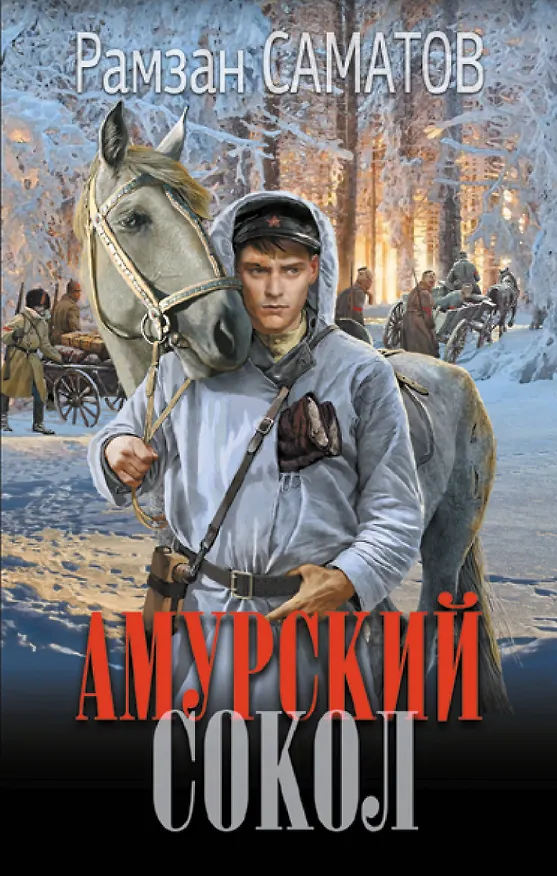 Книга Амурский сокол (Рамзан Саматов) — 1