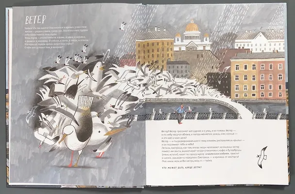 Книга Петербург – город чаек (Нина Дашевская) — 2