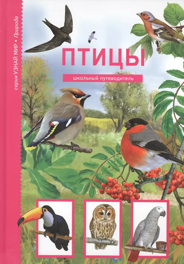 Книга Птицы (Юлия Дунаева) — 2