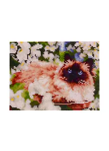 Алмазная мозаика ТМ Рыжий Кот 22х32см с подрамником с полным заполнением (класс.) ,26цв. СИАМСКАЯ КОШЕЧКА. Арт. AC22075