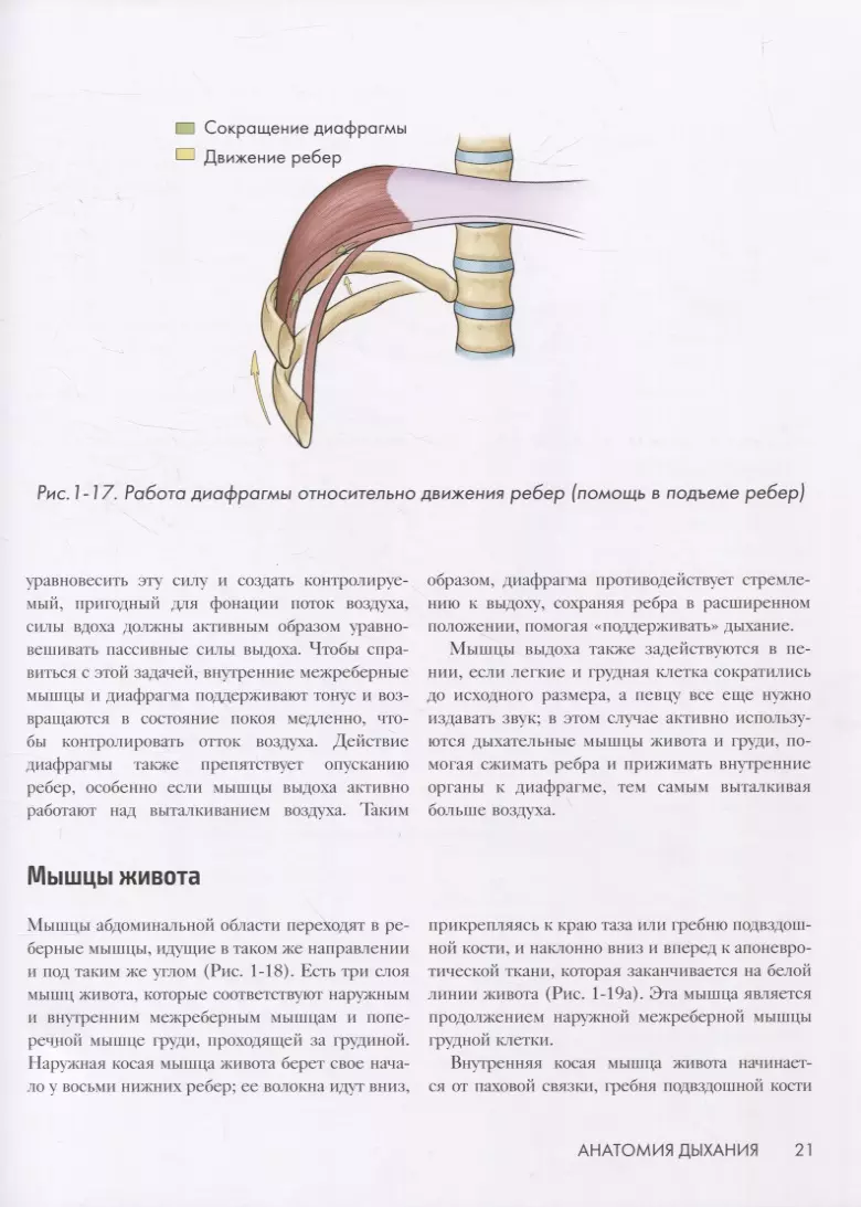 Анатомия голоса. Иллюстрированное руководство для певцов, преподавателей по  вокалу и логопедов (Теодор Даймон) - купить книгу с доставкой в  интернет-магазине «Читай-город». ISBN: 978-5-04-171092-7