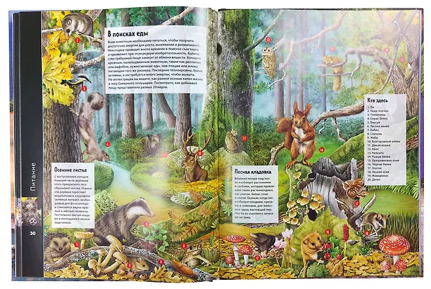 Книга Животные. Виртуальная реальность (Элизабет Крэнфорд) — 9
