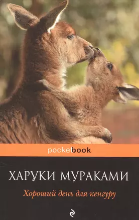 Хороший день для кенгуру — 2591850 — 1