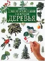 Книжка с многоразовыми наклейками.Деревья — 1897597 — 1