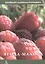 Ягода-малина Смородина Крыжовник Кизил (мКалендСадОгор) Мовсесян (2 вида) — 2489442 — 3
