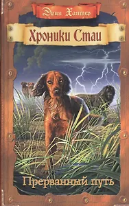 Прерванный путь