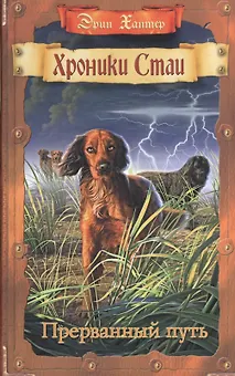 Прерванный путь