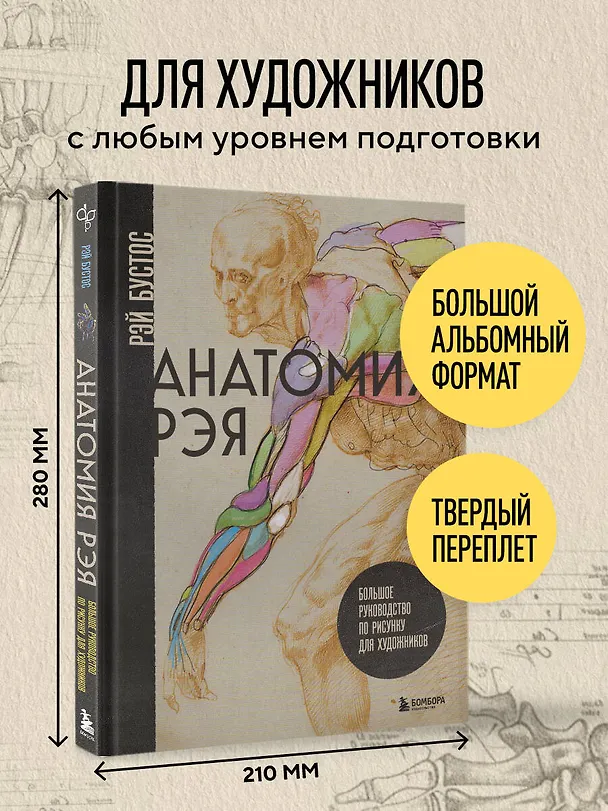 Книга Анатомия Рэя. Большое руководство по рисунку для художников (Рэй Бустос) — 9