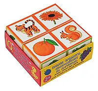 Умные кубики в поддончике. 4 штуки. Что какого цвета?