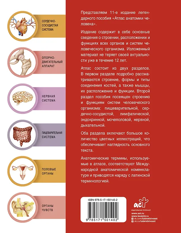 Книга Атлас анатомии человека (Сергей Лёвкин) — 2