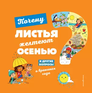 Почему листья желтеют осенью? И другие вопросы о временах года — 2811607 — 1