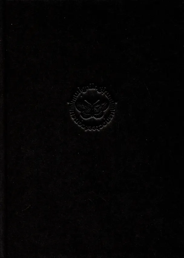 Книга Дирижабль осатанел (Борис Поплавский) — 2