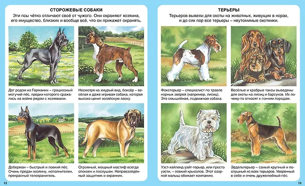 Книга Домашние питомцы (Патриция Рени) — 6
