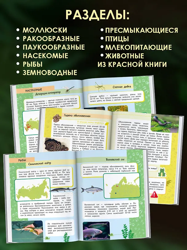 Книга Окружающий мир. Животные (Владислав Сивоглазов) — 8