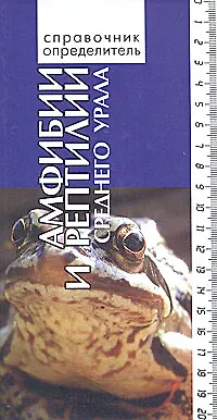 Книга Амфибии и рептилии среднего Урала (Владимир Вершинин) — 1