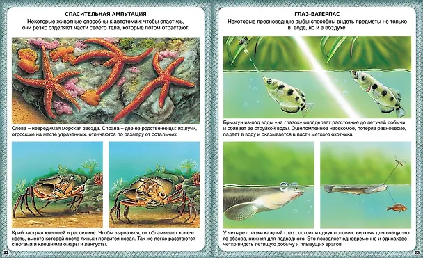 Книга Животные-рекордсмены (Эмили Бомон) — 3