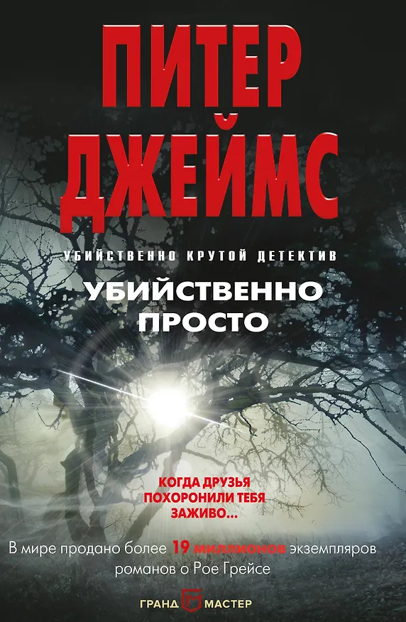 Книга Убийственно просто (Питер Джеймс) — 1