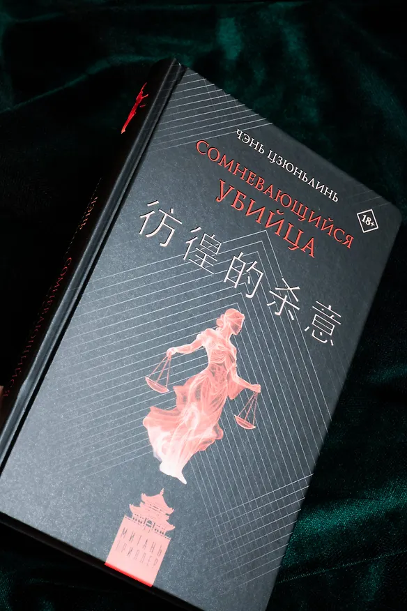 Книга Сомневающийся убийца (Цзюньлинь Чэнь) — 11