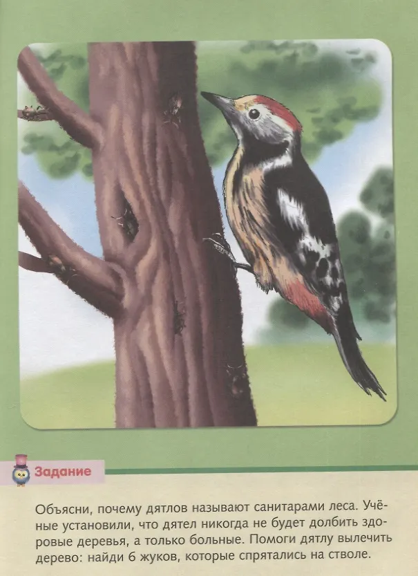 Книга Малышам о птицах () — 4
