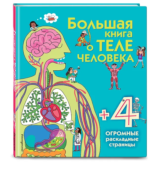 Книга Большая книга о теле человека (Минна Лейси) — 5