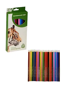 Карандаши цветные СКФ, "Звери", 24 цвета