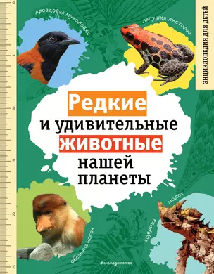 Редкие и удивительные животные нашей планеты. Энциклопедия для детей — 2985777 — 1