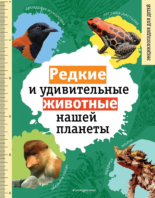 Книга Редкие и удивительные животные нашей планеты. Энциклопедия для детей (Василий Климов) — 1