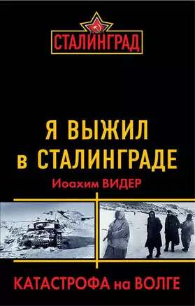 Я выжил в Сталинграде. Катастрофа на Волге — 2363631 — 1