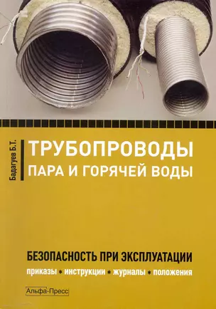 Трубопроводы пара и горячей воды: Безопасность при эксплуатации. Приказы, инструкции, журналы, положения / (мягк). Бадагуев Б. (Альфа-Пресс) — 2231879 — 1