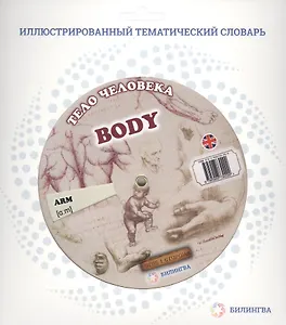 Тематический словарь BODY (Тело человека).