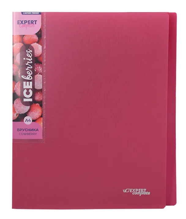 Папка с бок.прижимом А4 "Trend ICEberries", пластик 20мм, ассорти, 3138757 — 3