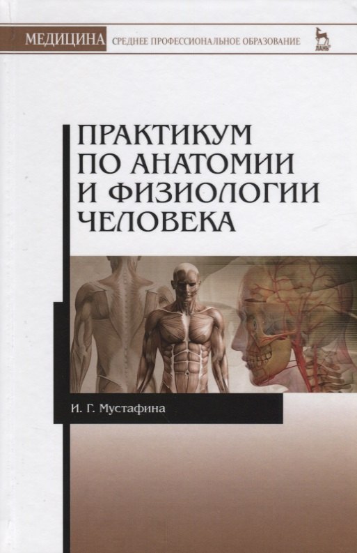 

Практикум по анатомии и физиологии человека. Учебное пособие