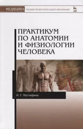 Практикум по анатомии и физиологии человека. Учебное пособие — 2641510 — 1