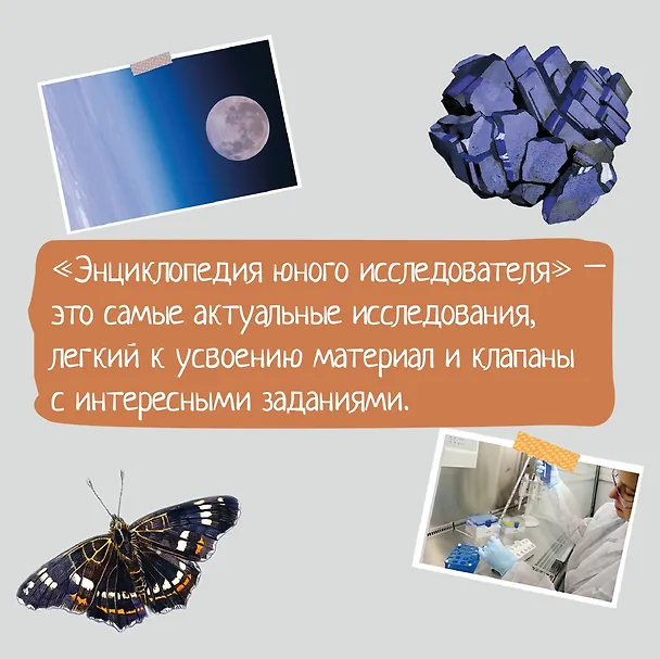 Книга Лесные животные (Ксавье Жапьо) — 10