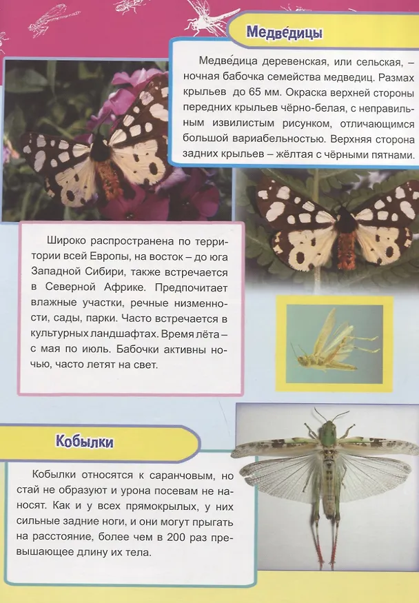 Книга Насекомые, рыбы и рептилии Европы (Василий Климов) — 2