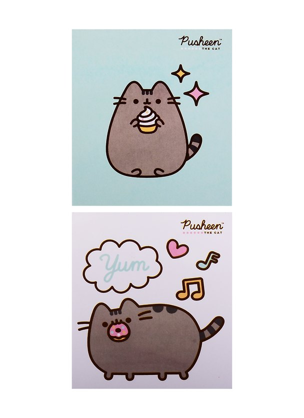 Блоки для записей 02шт 50л "Pusheen" инд.уп. 256947 — 1