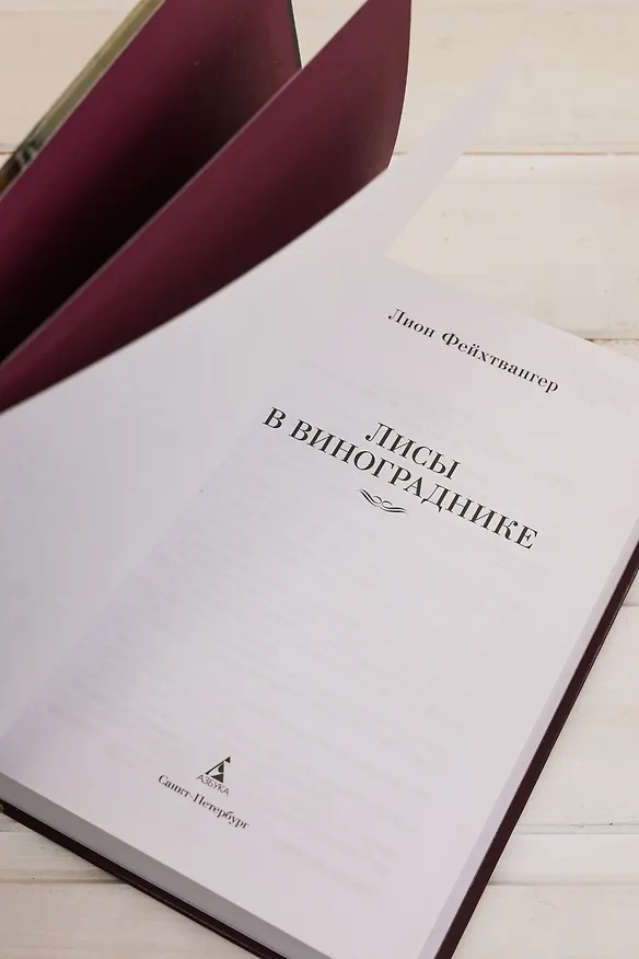 Книга Лисы в винограднике (Лион Фейхтвангер) — 14