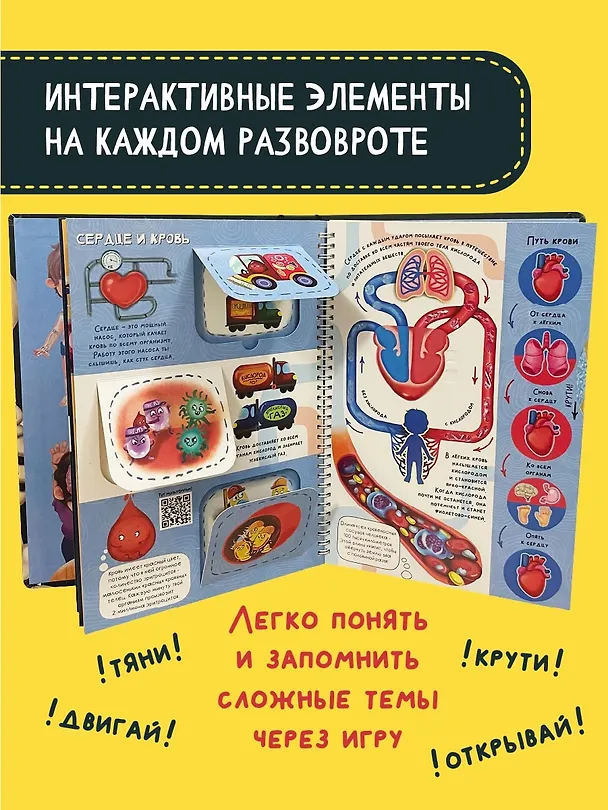 Книга Знакомься: твое тело (Оксана Иванова) — 6