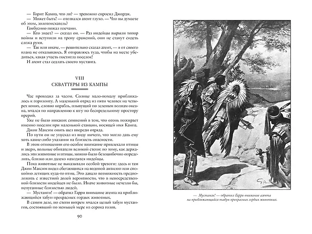 Книга На Дальнем Западе. Охотница за скальпами. Смертельные враги (Эмилио Сальгари) — 8