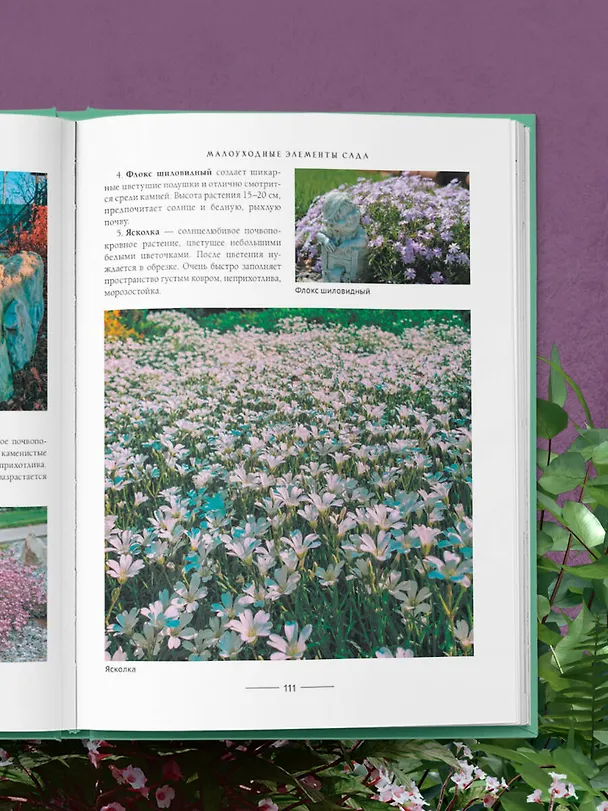 Книга Секреты малоуходного сада. Как создать дизайн участка с неприхотливыми декоративными растениями (Татьяна Селезнева) — 10