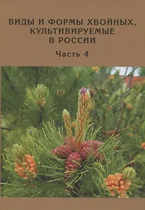 Виды и формы хвойных, культивируемые в России. Часть 4. Сосна