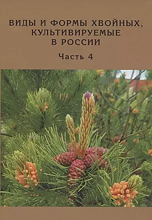 Виды и формы хвойных, культивируемые в России. Часть 4. Сосна — 2833537 — 1