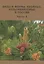 Виды и формы хвойных, культивируемые в России. Часть 4. Сосна — 2833537 — 1