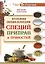 Большая энциклопедия специй, приправ и пряностей — 2450579 — 1
