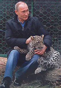 Сувенир, Магнит В.В. Путин с леопардом металл [207] 335468 — 1