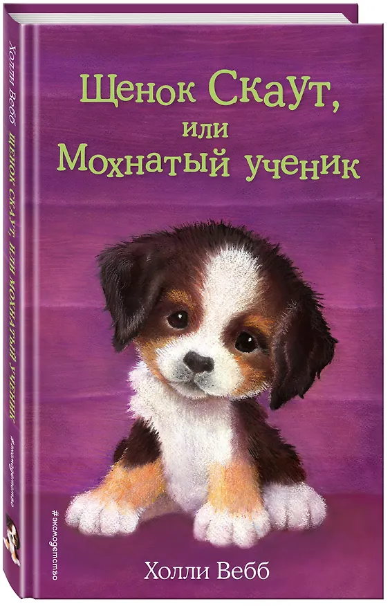 Книга Щенок Скаут, или Мохнатый ученик (выпуск 38) (Холли Вебб) — 5