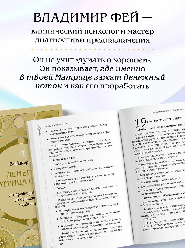 Книга Деньги и матрица судьбы. От предназначения до денежного изобилия (Владимир Фей) — 9